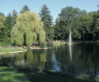 Volksparks Gartengestaltung und Grünflächengestaltung