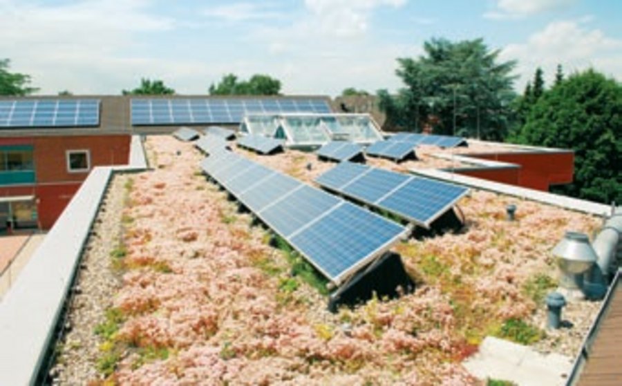 Optigrün Photovoltaik Dachbegrünung