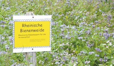 Bienen Forschungsgesellschaft Landschaftsentwicklung Landschaftsbau (FLL)