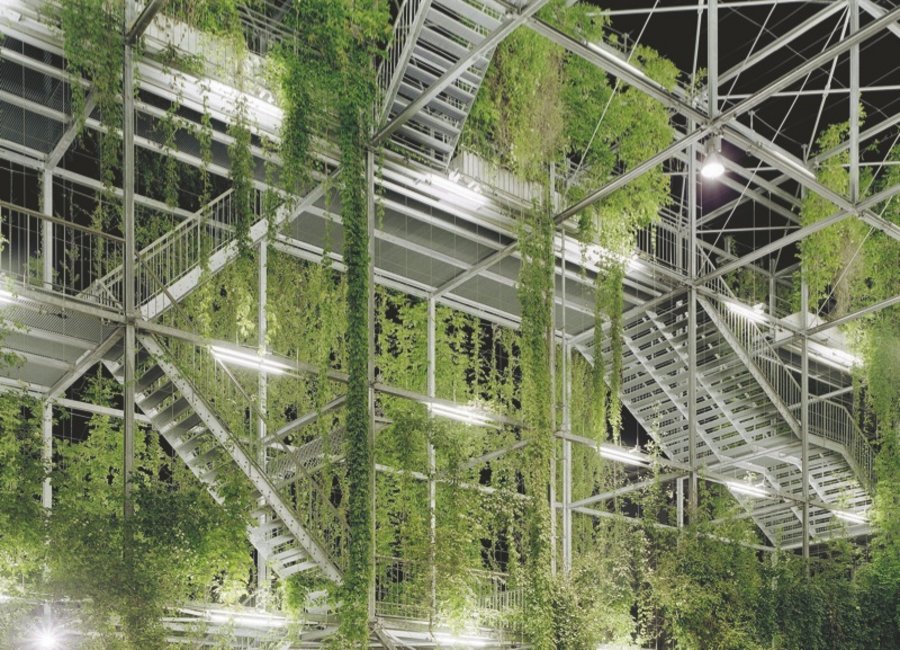 Vertikale Gärten Bauwerksbegrünung