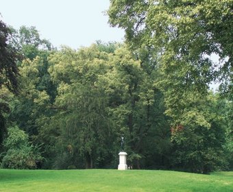 Bürgergärten Gartendenkmalpflege