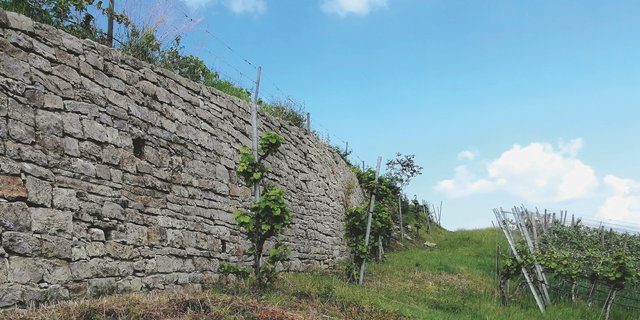Trockenmauern Gartengestaltung