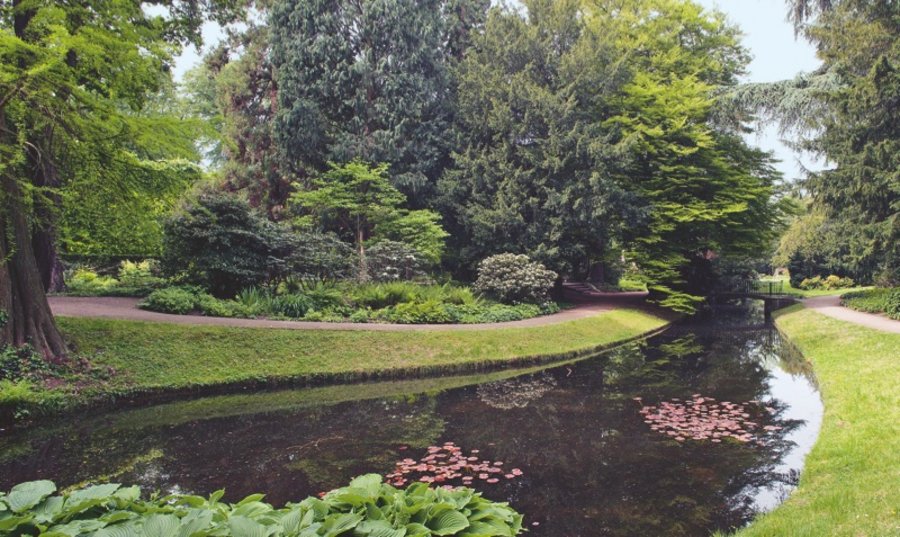 Schlossparks Gartendenkmalpflege
