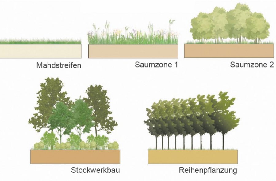 Miniaturwälder Biodiversität