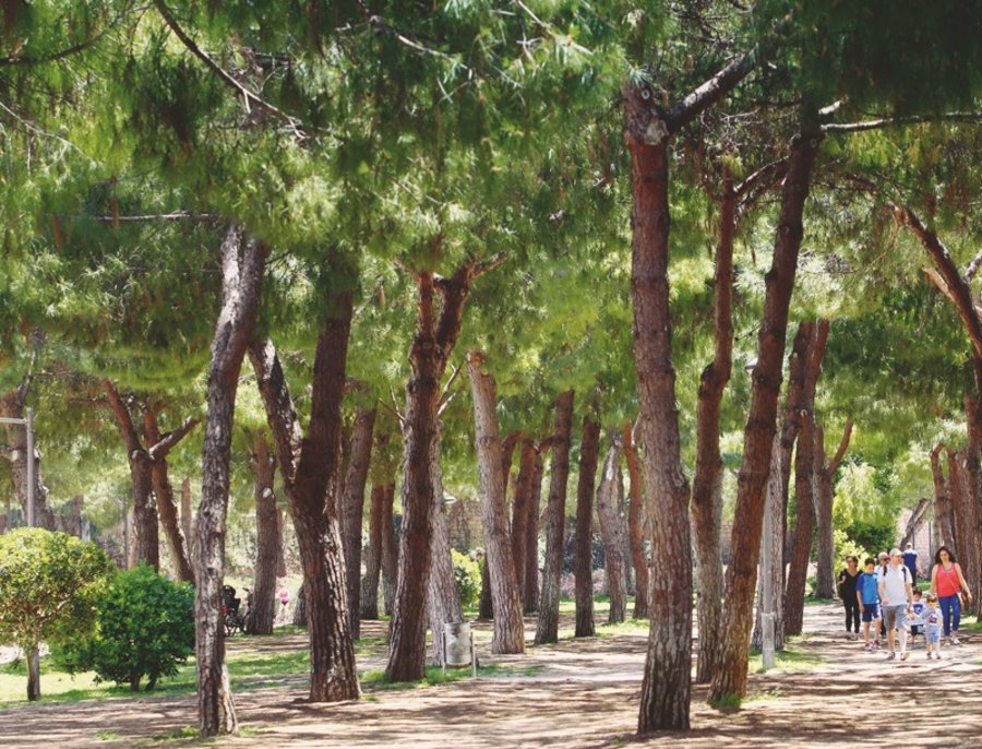 Spanien Stadtparks