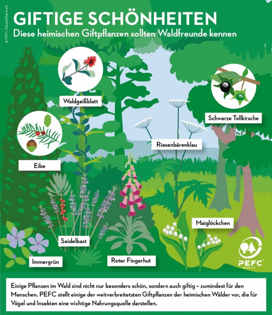 Biotope Biodiversität