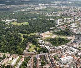 Wie bleiben Stadtbäume im Klimawandel gesund?