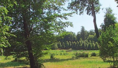 Gartengestaltung