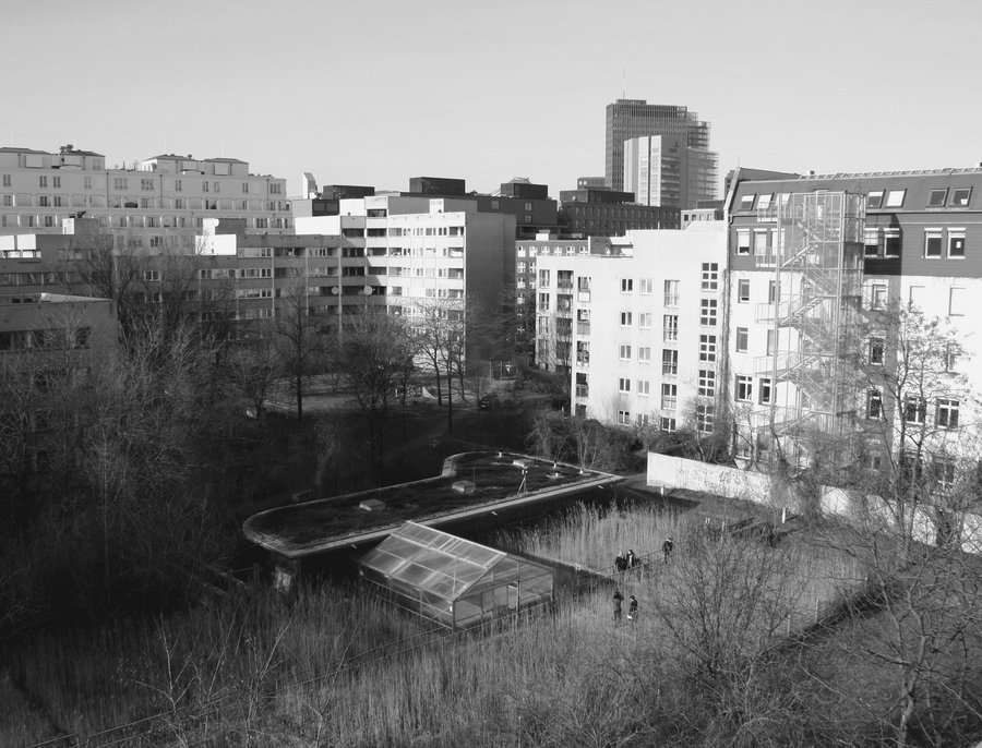 Berlin Bauwerksbegrünung