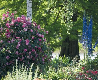 Rosengärten Gartendenkmäler