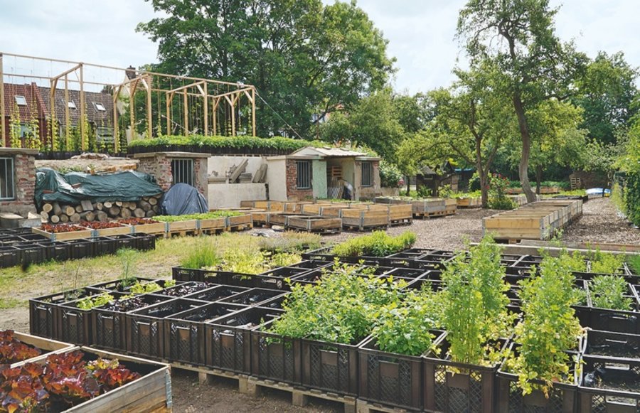 Urban Gardening Freiraumplanung