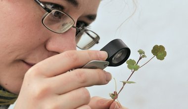 Ausbildung und Beruf