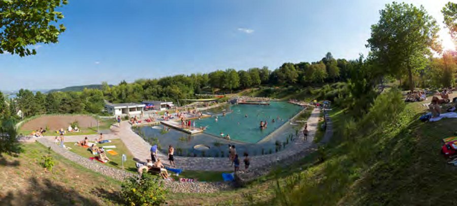 Deutsche Gesellschaft für naturnahe Badegewässer e. V. (DGfnB) naturnaher Wasserbau