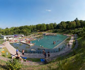 Deutsche Gesellschaft für naturnahe Badegewässer e. V. (DGfnB) naturnaher Wasserbau