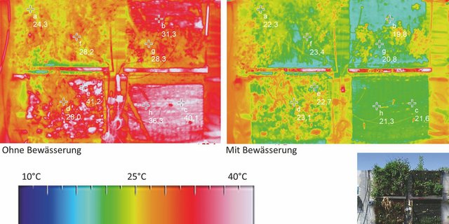 Begrünungssysteme Bauwerksbegrünung