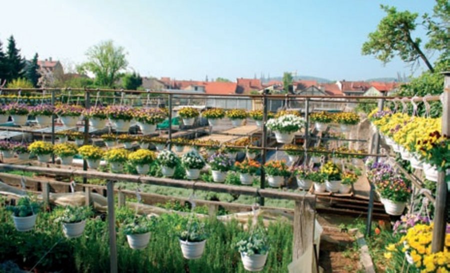 Bürgergärten Landesgartenschauen und Grünprojekte