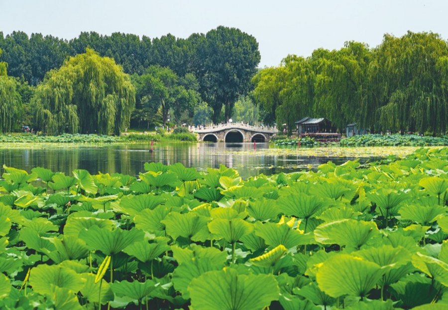 Chinesische Gärten Gartendenkmalpflege