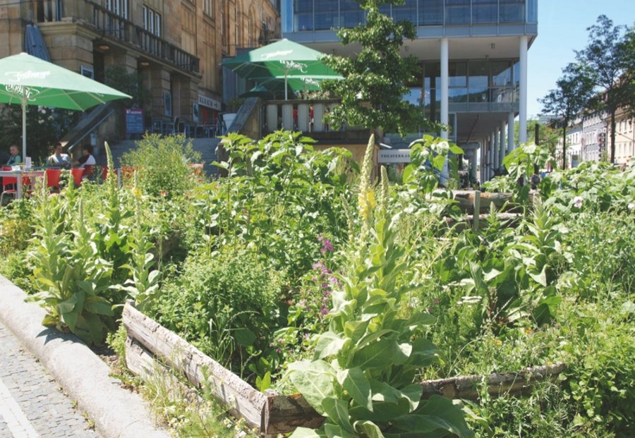 Stadtgärten Freiflächenmanagement