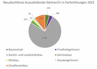 Ausbildung und Beruf