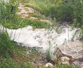 Regenwassermanagement Biodiversität