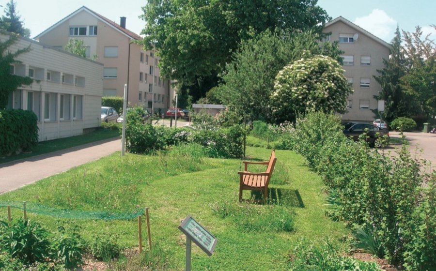 Gartentherapie Außenanlagen