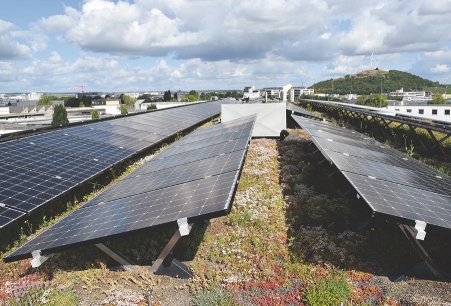 Photovoltaik Dachbegrünung