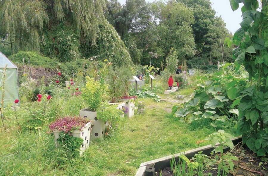 Urban Gardening Klimawandel