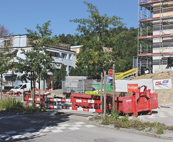 Schweiz Baumpflege