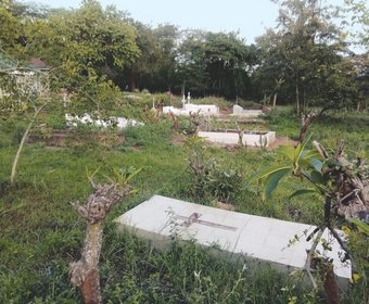 Afrikanische Gärten Friedhöfe