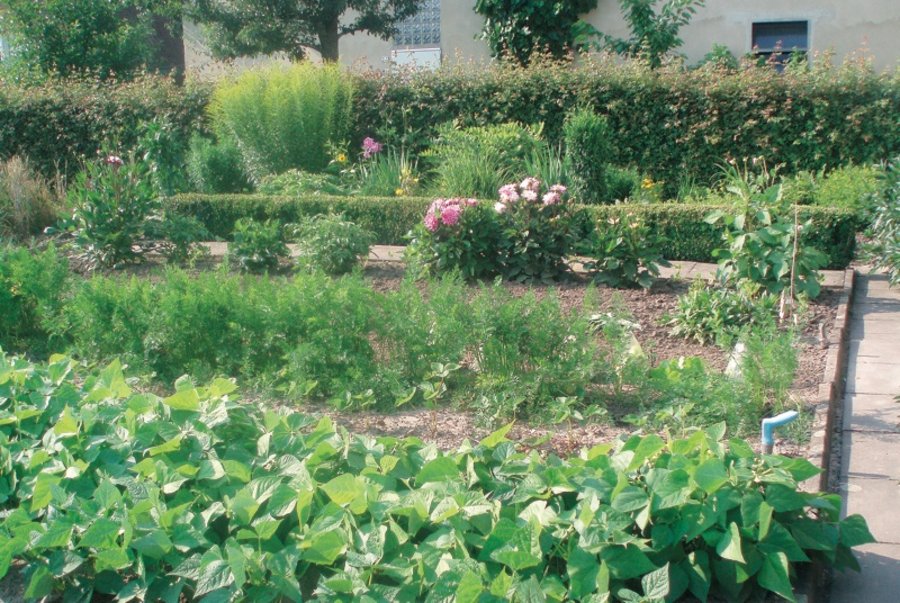 Bauerngärten Kräutergärten