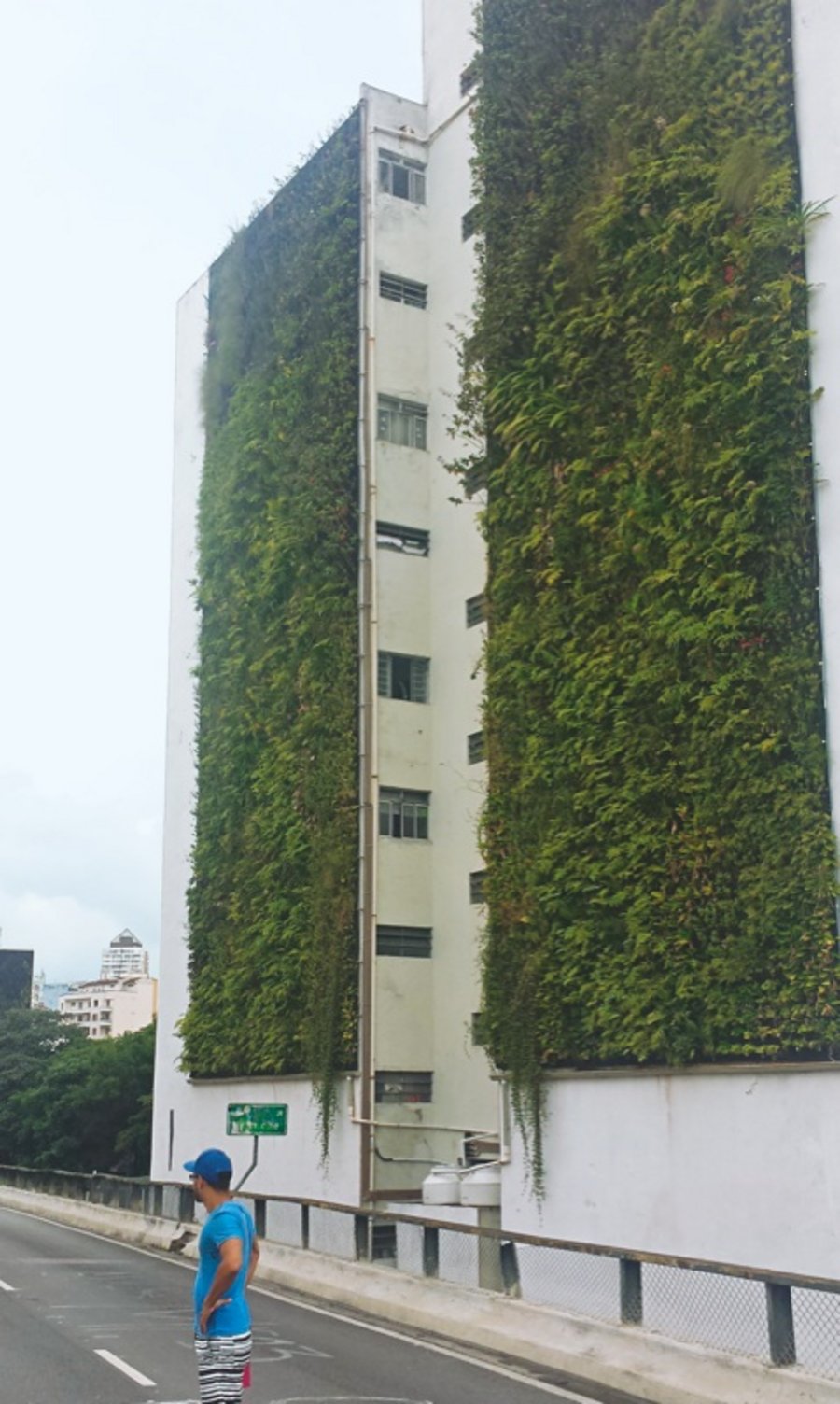 Vertikale Gärten Fassadenbegrünung