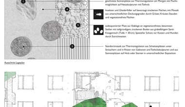 Öffentlicher Raum und urbanes Grün