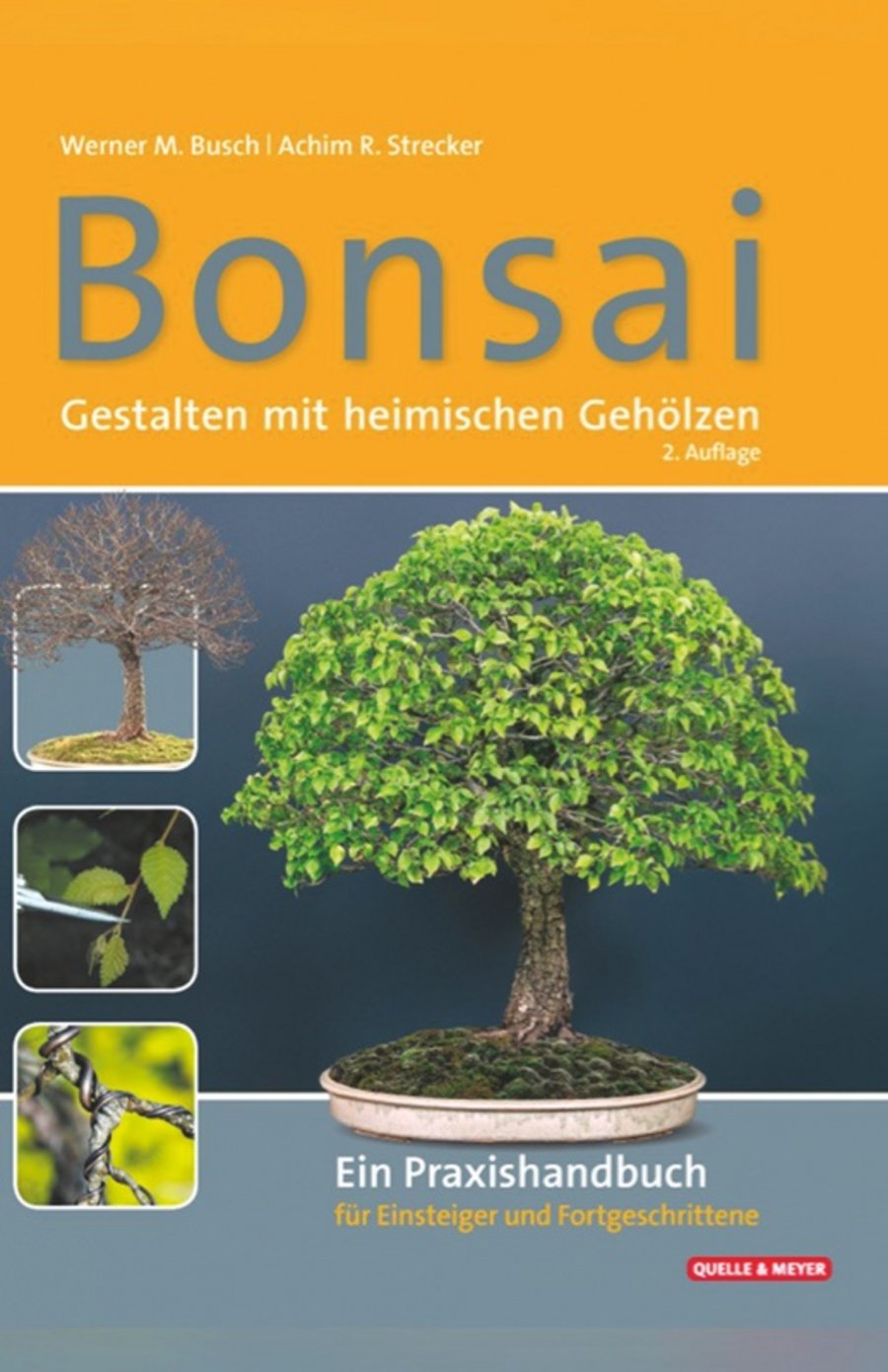 Bonsai Baumpflege