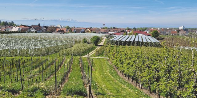 Kommunen Landwirtschaft