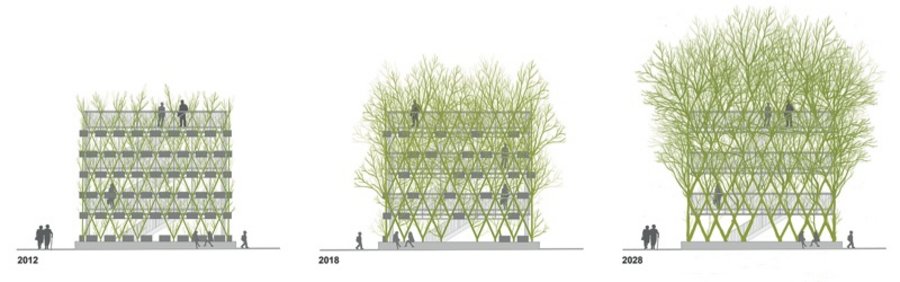 Vertikale Gärten Bauwerksbegrünung