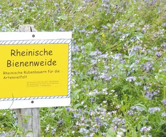 Bienen Forschungsgesellschaft Landschaftsentwicklung Landschaftsbau (FLL)