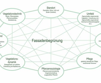 Fassadenbegrünung