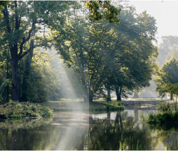 Klimawandel in historischen Gärten