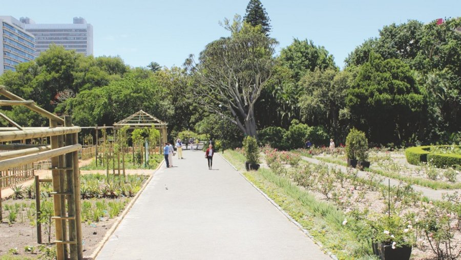 Afrikanische Gärten Parks und Gärten