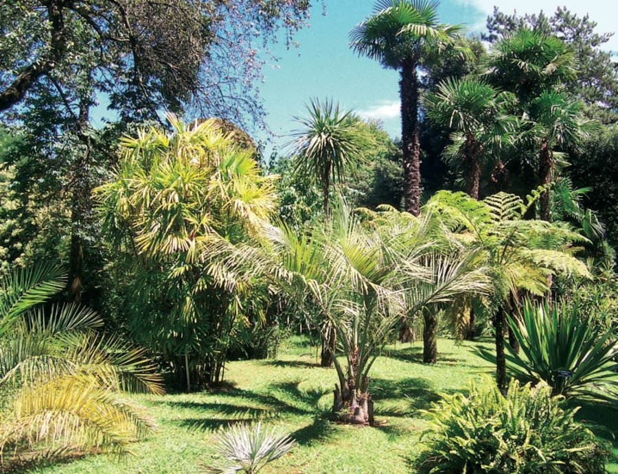 Botanischer Garten Historische Parks und Gärten
