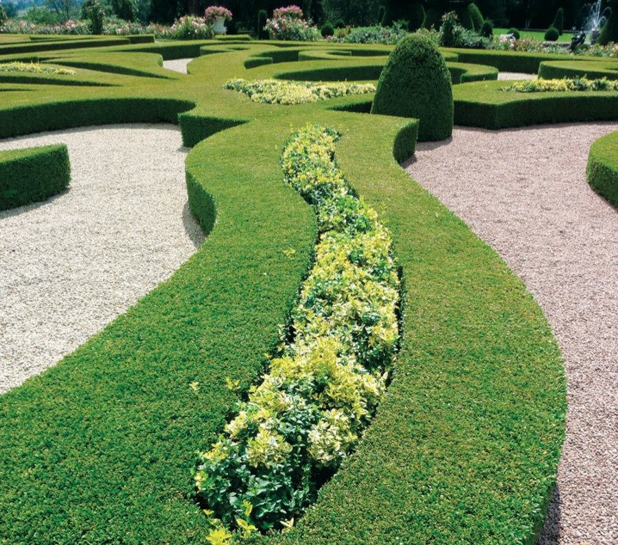 Barockgärten Gartendenkmalpflege