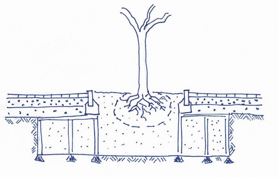 Baumbewässerung Stadtbäume