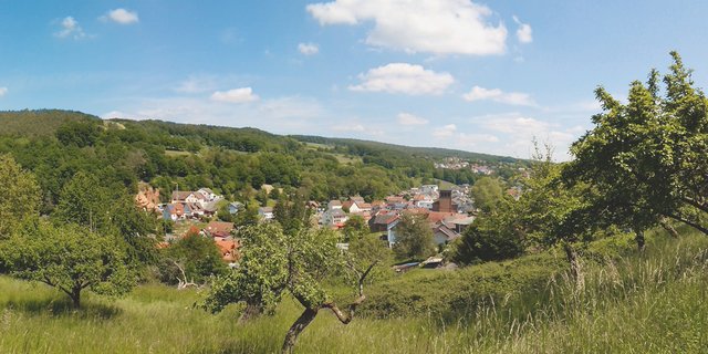 Streuobstwiesen Biodiversität