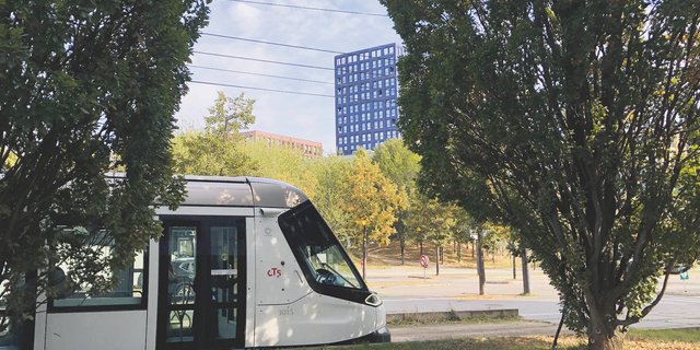 Städtebau Landschaftsarchitektur