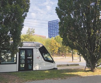 Städtebau Landschaftsarchitektur