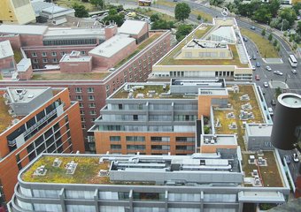 ZinCo Grün-blaue Infrastruktur Bauwerksbegrünung