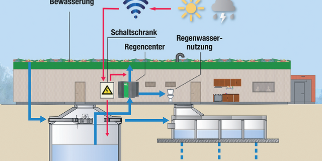 Mall Regenwasserbewirtschaftung Dachbegrünung