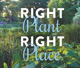 Right Plant – Right Place: Beth Chattos Ideen für nachhaltig bepflanzte Gärten