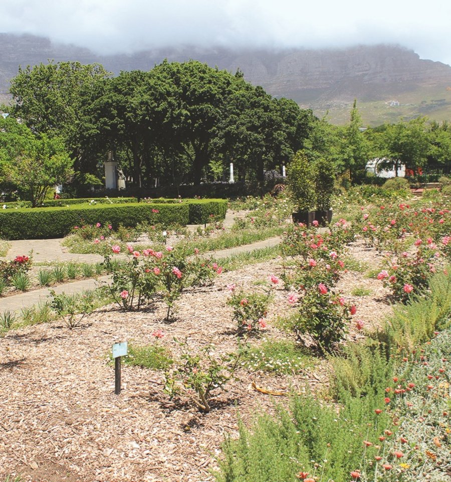 Afrikanische Gärten Parks und Gärten