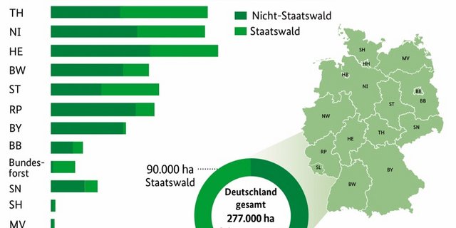 Dürre Trockenstress